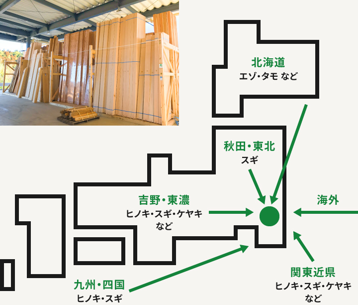 あなたの夢を実現するストックヤード「東京中央木材市場」